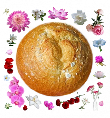 Collage of large round bread roll, made of white wheat bread dusted with flour surrounded by red, pink, and white flowers.