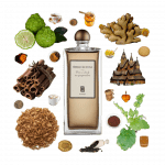 Collage of Five O'Clock Au Gingembre by Serge Lutens and its notes, including cinnamon, ginger, cinnamon, bergamot, and tea.