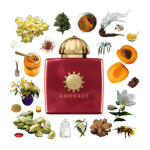 Journey Woman Eau de Parfum by Amouage Review Collage of Journey Woman by Amouage and its notes, including honey, osmanthus, tobacco, apricot, nutmeg, jasmine and saffron.