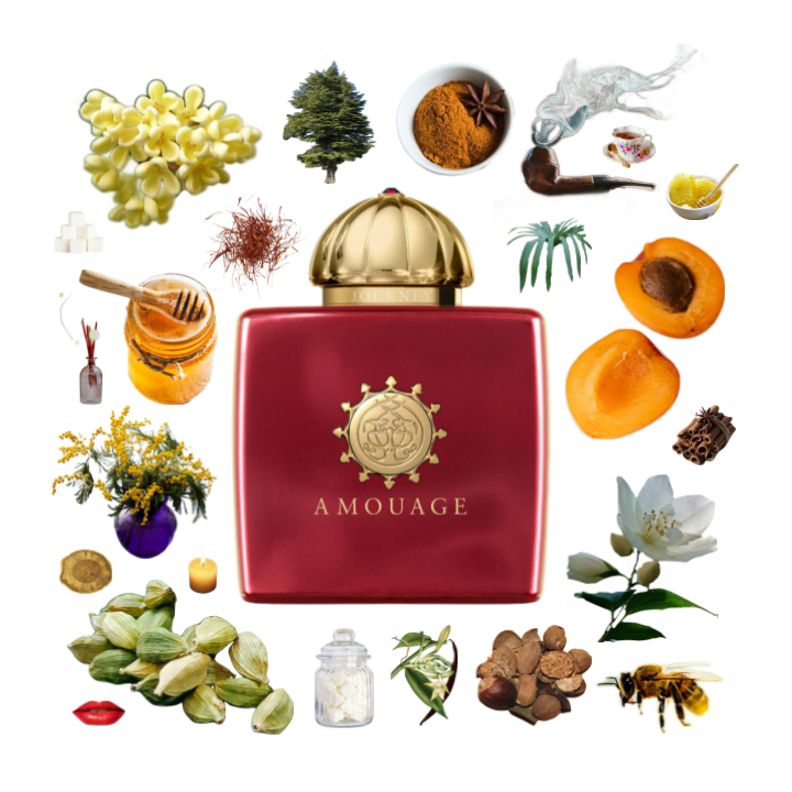Collage of Journey Woman by Amouage and its notes, including honey, osmanthus, tobacco, apricot, nutmeg, jasmine and saffron.