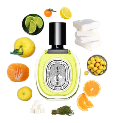Collage of Oyedo by Diptyque and its notes, including yuzu, clementine, mandarin orange, lime, lemon, woody notes, and thyme.