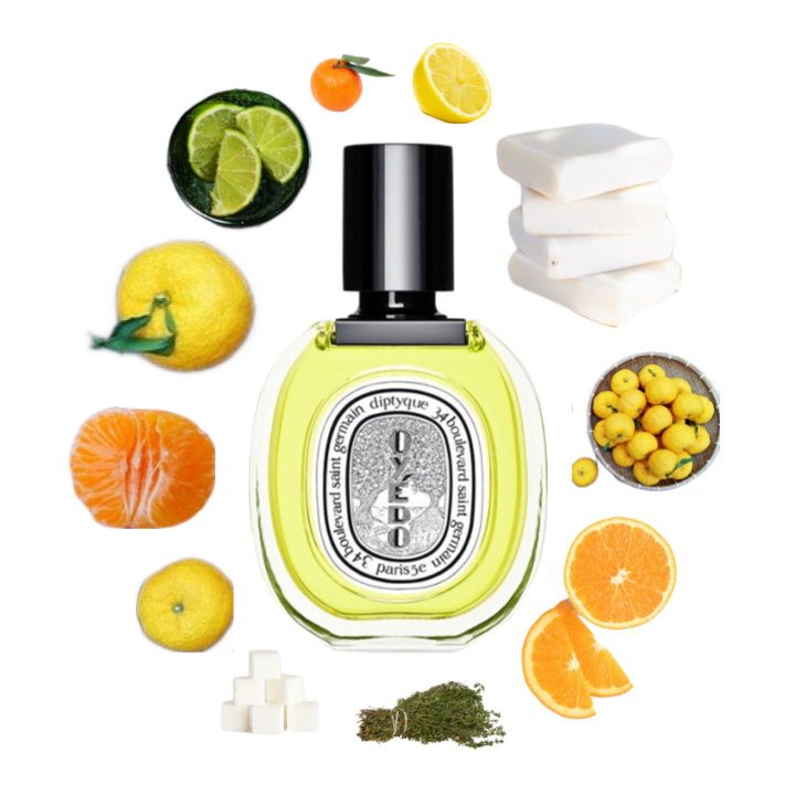 Collage of Oyedo by Diptyque and its notes, including yuzu, clementine, mandarin orange, lime, lemon, woody notes, and thyme.
