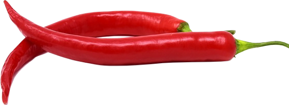 Two long red fresh chili peppers.