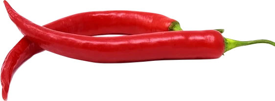 Two long red fresh chili peppers.