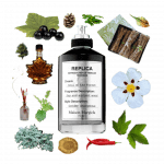 Soul of the Forest Eau de Parfum by Maison Martin Margiela Review Collage of Soul of the Forest and its notes, including cassis, vetiver, oakmoss, labdanum, pimento, fir, cedar, and maple.