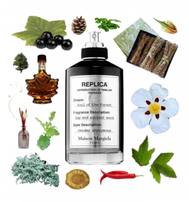 Collage of Soul of the Forest and its notes, including cassis, vetiver, oakmoss, labdanum, pimento, fir, cedar, and maple.