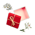 Collage of an empty open red gift or present box, a white lily, and a bunch of white pear blossom flowers.