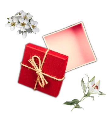 Collage of an empty open red gift or present box, a white lily, and a bunch of white pear blossom flowers.