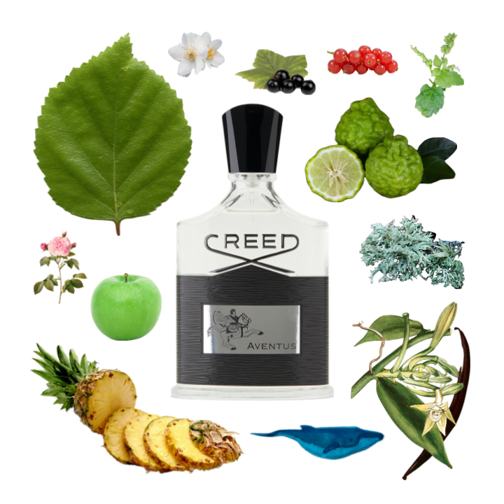 Collage of Aventus by Creed and its notes, including pineapple, birch, vanilla, bergamot, patchouli, ambergris, and apple.