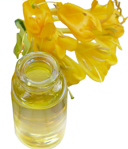 A handful of golden yellow honeysuckle flowers next to a small glass jar filled with yellow honeysuckle essential oil.