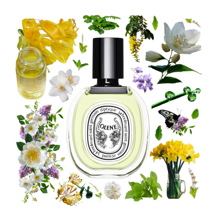 Collage of Diptyque's Olene and its notes including jasmine, honeysuckle, narcissus, wisteria, white flowers and green notes.