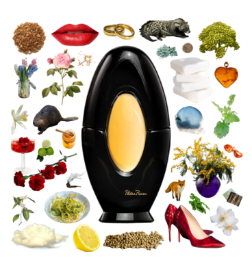 Collage of Paloma Picasso perfume and its notes, including carnation, rose, mimosa, castoreum, lemon, amber, and civet.
