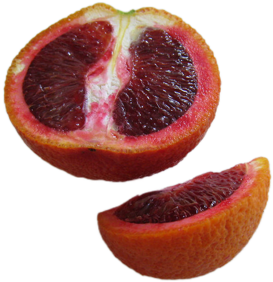 A sliced-open blood orange fruit, with deep-red-colored flesh, white pith stained with pink juice, and an orange peel.