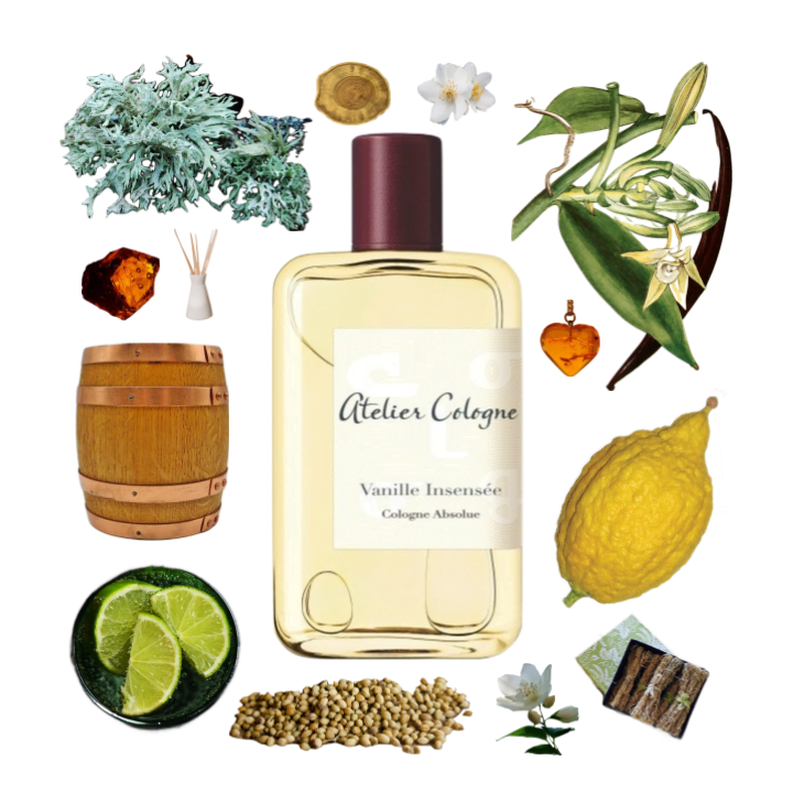 Collage of Vanille Incensee and its notes: citron, lime, vanilla, oak, coriander, oakmoss, vetiver, amber, and jasmine.