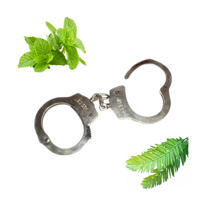 Collage of a silver metal pair of handcuffs, some mint sprigs, and some cypress branches.