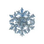 A delicate snowflake with six branches.