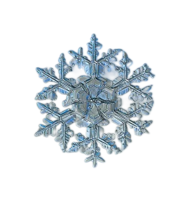 A delicate snowflake with six branches.