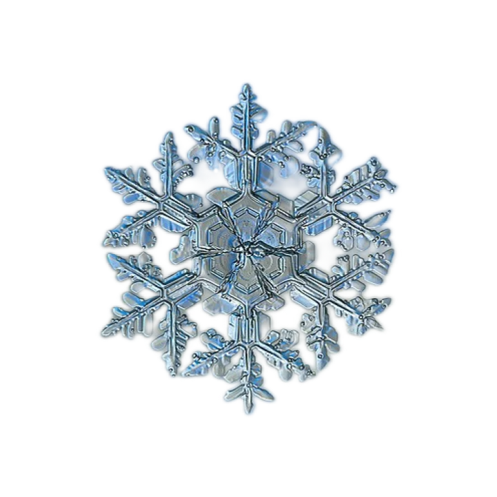 A delicate snowflake with six branches.
