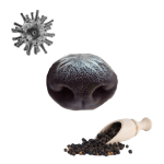 The Other Smelly COVID-19 Symptom No One Talks About Collage of a dog nose, a wooden trowel filled with black pepper, and a gray spiky coronavirus ball.