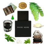 Encre Noire Eau de Toilette by Lalique Review Collage of Encre Noire Eau de Toillette by Lalique and its notes, including musk, cashmere, cypress, and vetiver.