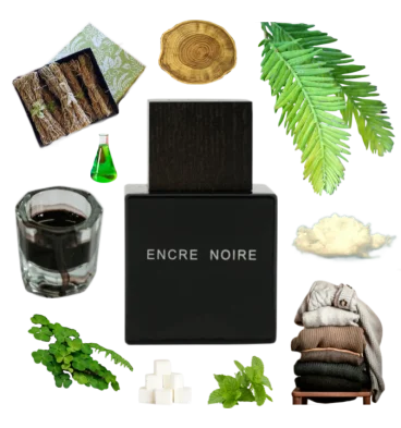 Collage of Encre Noire Eau de Toillette by Lalique and its notes, including musk, cashmere, cypress, and vetiver.