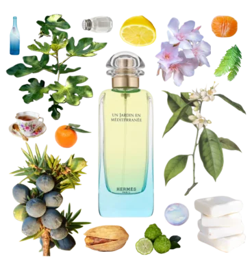 Collage of Un Jardin en Mediterranee and notes including juniper, cypress, pistachio, oleander, neroli, lemon, and bergamot.