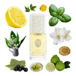 Jessica McClintock Eau de Parfum by Jessica McClintock Review Collage of Jessica McClintock perfume and its notes, including basil, lemon, lily of the valley, bergamot, jasmine and ylang.
