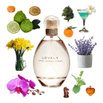 Lovely Eau de Parfum by Sarah Jessica Parker Review Collage of Lovely by SJP and its notes, including lavender, rosewood, orchid, narcissus, martini, bergamot, and cedar.