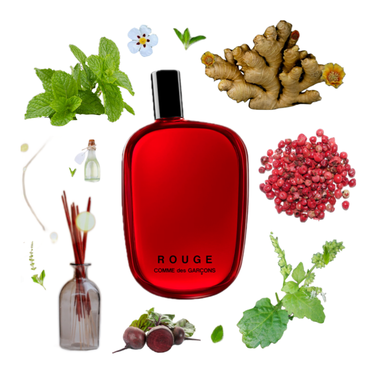 Collage of Rouge by Eau des Garcons and its notes: mint, beets, ginger, pink pepper, labdanum, patchouli, and incense.