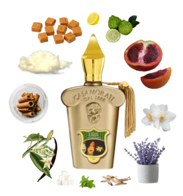 Collage of Lira by Xerjoff Casamorati and its notes, including vanilla, cinnamon, citruses, lavender, caramel, and licorice.