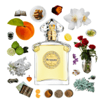Mitsouko Eau de Toilette by Guerlain Review Collage of Mitsouko and its notes, including peach, rose, oakmoss, spices, vetiver, lilac, amber, ylang ylang, and jasmine.