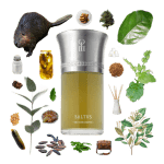 Saltus Eau de Parfum by Liquides Imaginaires Review Collage of Saltus by Liquides Imaginaires and its notes, including camphor, eucalyptus, incense, styrax, patchouli and tonka.