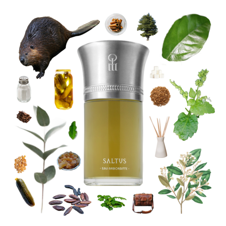 Collage of Saltus by Liquides Imaginaires and its notes, including camphor, eucalyptus, incense, styrax, patchouli and tonka.