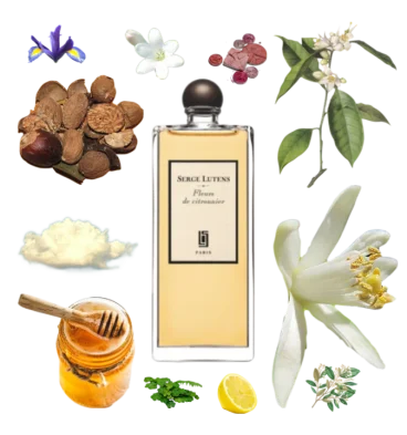 Collage of Serge Lutens Fleurs de Citronnier and its notes including lemon, petitgrain, neroli, honey, iris, nutmeg and musk.