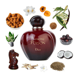 Collage of Dior's Hypnotic Poison and its notes, including vanilla, almond, plum, coconut, rosewood, sandalwood, and caraway.