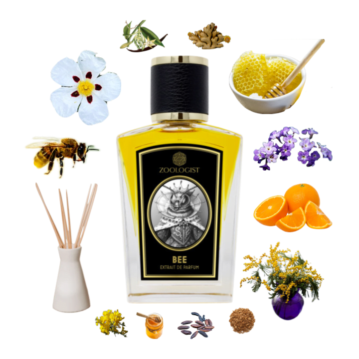 Collage of Bee perfume by Zoologist and its notes including honey, beeswax, heliotrope, labdanum, benzoin, tonka and incense.