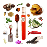 Collage of Mayan Chocolate perfume and its notes, including cocoa, chili pepper, paprika, incense, orchid, grass, and wood.