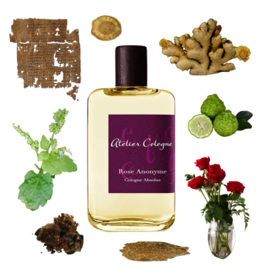 Collage of Rose Anonyme cologne and its notes, including rose, oud, ginger, papyrus, opoponax, bergamot, and patchouli.
