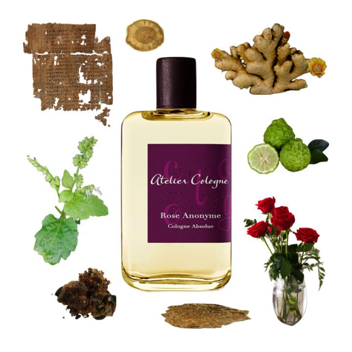 Collage of Rose Anonyme cologne and its notes, including rose, oud, ginger, papyrus, opoponax, bergamot, and patchouli.