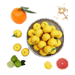 What Does Yuzu Smell Like? Collage of a wicker basket filled with yellow yuzus, a lemon, three green bergamot fruit, a mandarin orange and a grapefruit.