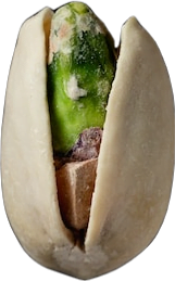 A single green pistachio peering out of a pale beige shell.