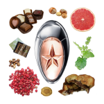 Angel Muse Eau de Parfum by Mugler Review Collage of Mugler's Angel Muse and its notes, including chocolate hazelnut spread, pink pepper, patchouli, and grapefruit.