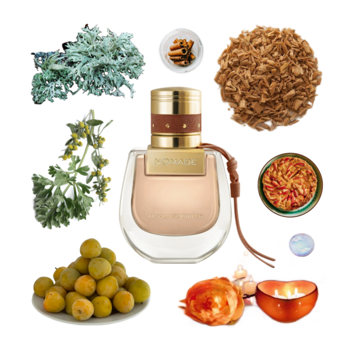 Collage of Nomade Absolu by Chloe and its notes, including oakmoss, davana, mirabelle plums, and cinnamon fruit pie.