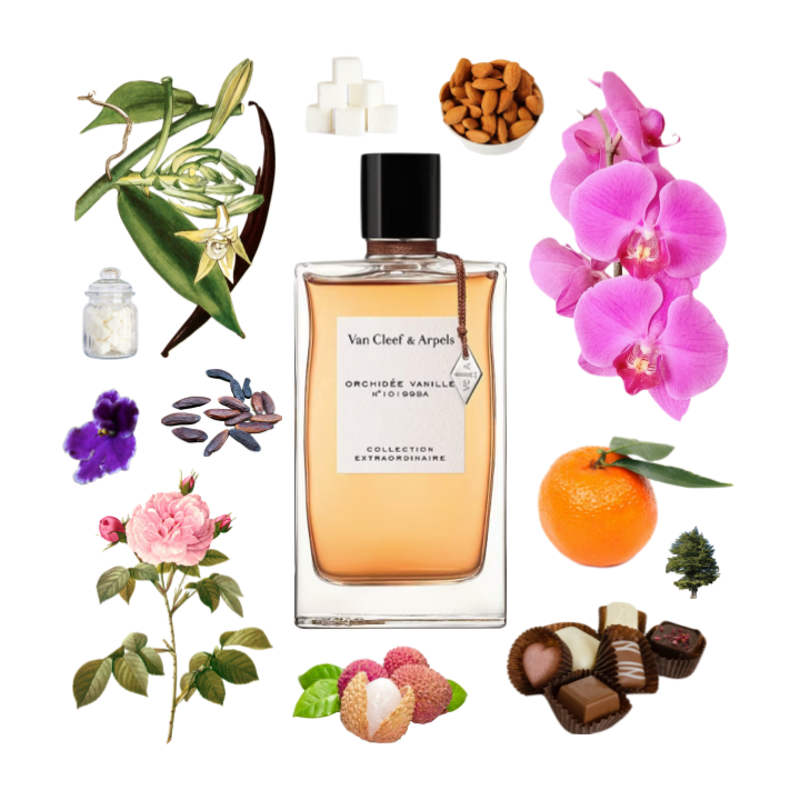 Collage of Orchidee Vanille by Van Cleef & Arpels and its notes, including vanilla, chocolate, almond, violet, and tonka.