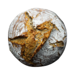 A nice big crusty loaf of homemade round sourdough bread.