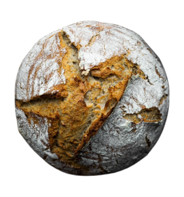 A nice big crusty loaf of homemade round sourdough bread.